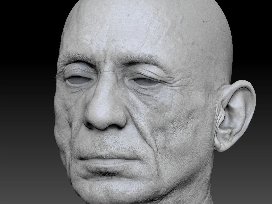 Human heads and FACS scans Render